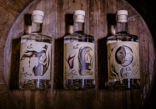 Tre Incanti di un'unica Anima: i nostri gin!